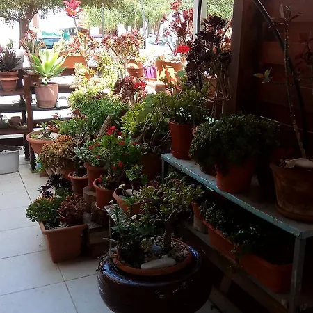 Ekaterina Beach House Casa vacanze Meneou